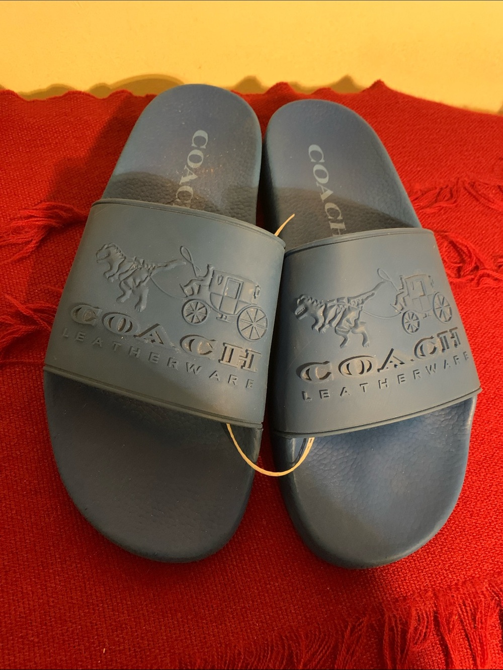 Coach Blue Embossed Leatherware Slide Sandals for Men